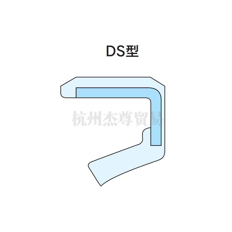 天津NDK油封 DS/DSR型