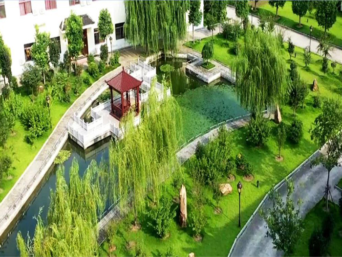 公司風(fēng)景.jpg